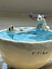 Handcrafted Pet Pool